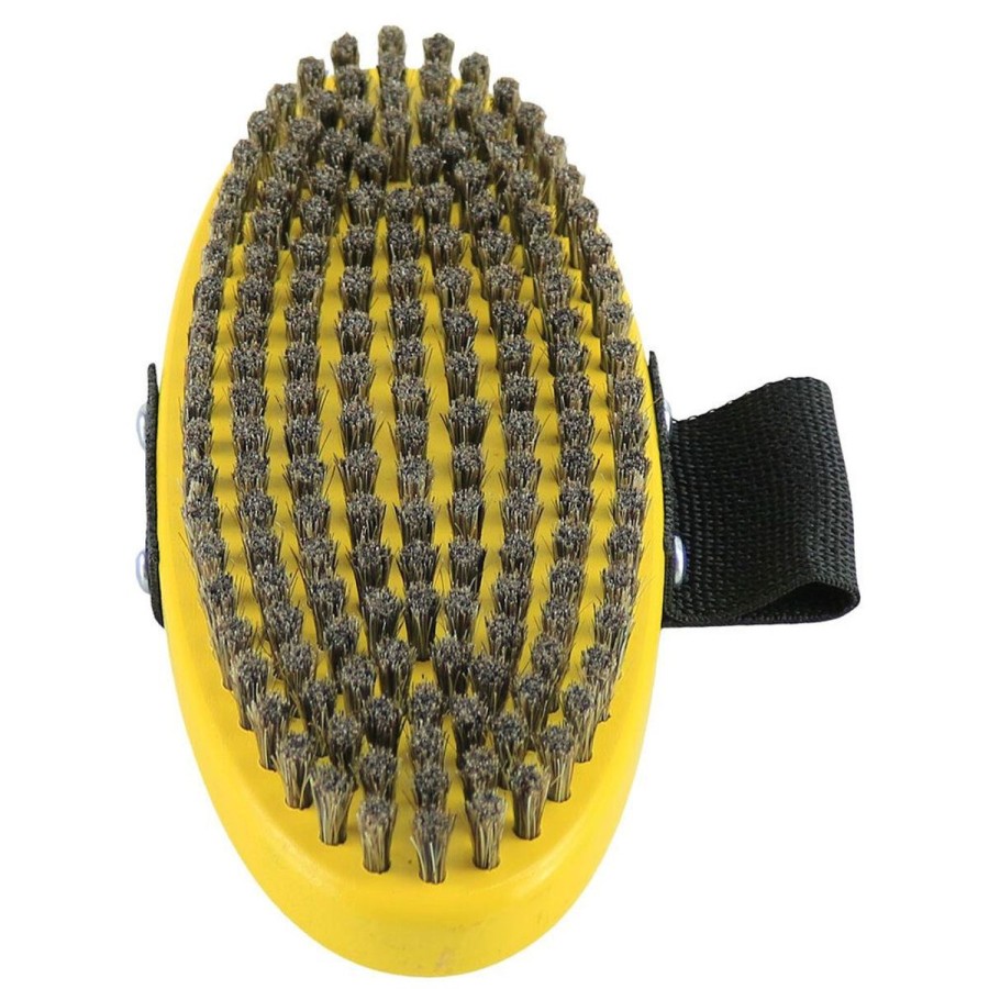 Snow Sports Beast | Beast Oval Brush - Horsehair