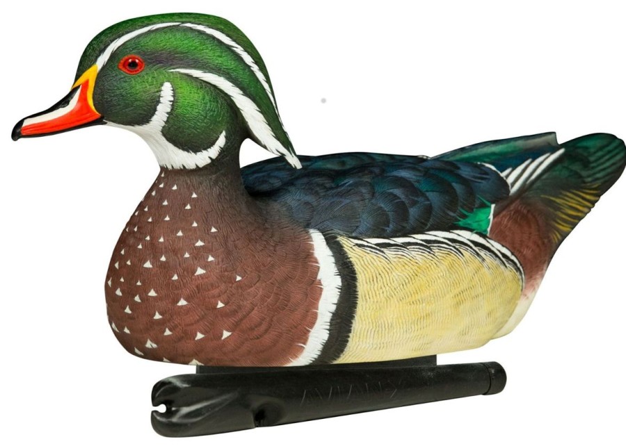 Hunting Avian-X Duck Decoys | Avian-X Topflight Wood Duck Decoys