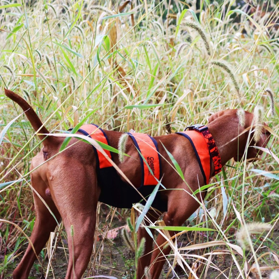 Hunting Water&wood Collars, Harnesses, & Leashes | Water&Wood Dog Chest Protector