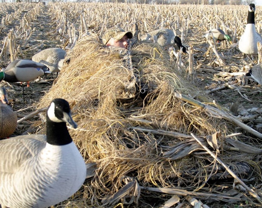 Hunting Avery | Avery Killerweed Layout Blind Kits Golden Harvest