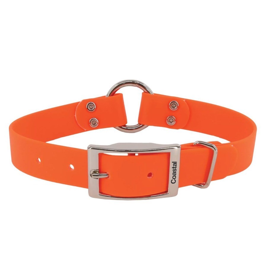 Hunting Water&wood Collars, Harnesses, & Leashes | Water&Wood Waterproof Hound Dog Collars