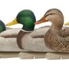 Hunting Avian-X Duck Decoys | Avian-X Topflight Open Water Mallard Decoys