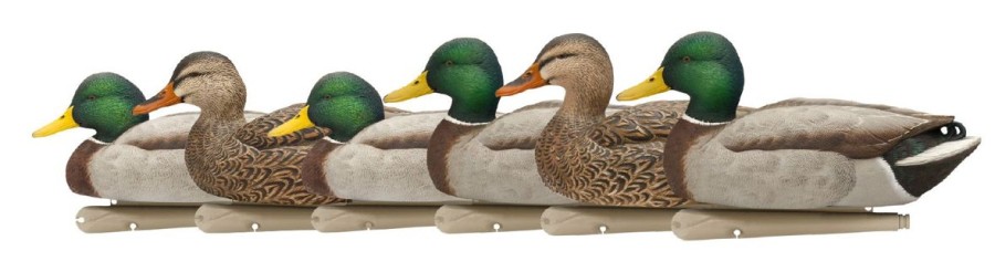 Hunting Avian-X Duck Decoys | Avian-X Topflight Open Water Mallard Decoys