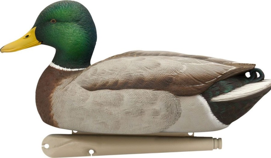 Hunting Avian-X Duck Decoys | Avian-X Topflight Open Water Mallard Decoys