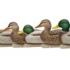 Hunting Avian-X Duck Decoys | Avian-X Topflight Fusion Mallard Decoys