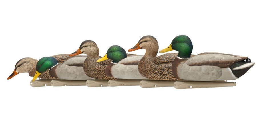 Hunting Avian-X Duck Decoys | Avian-X Topflight Fusion Mallard Decoys