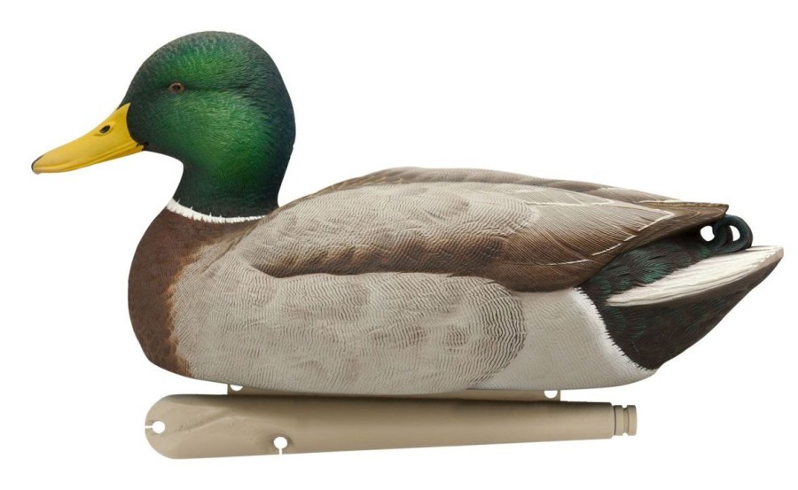 Hunting Avian-X Duck Decoys | Avian-X Topflight Fusion Mallard Decoys